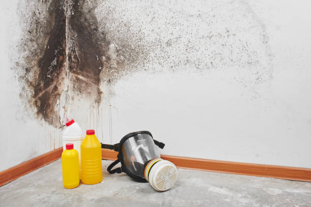 Water Damage Restoration in St Marys, WV