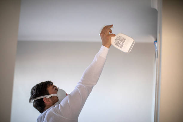 Best Mold Remediation  in St Marys, WV